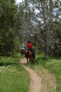 Horse riders on the mountain trail Royalty Free Stock Photo