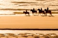 Horse riders on a sandy beach at sunset Royalty Free Stock Photo