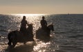 Horse riders in the sea Royalty Free Stock Photo