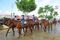 Horse riders at the Sevilla Fair, Spain Royalty Free Stock Photo