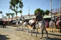 Horse riders at the Sevilla Fair, Spain Royalty Free Stock Photo