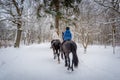 Horse riders at snowy weather Royalty Free Stock Photo