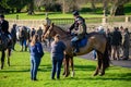 Horse riders and spectators waiting for a fox hunt to begin. Old stone walls and English gardens in the background