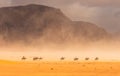 Horse riders traversing the Wadi-Rum desert Royalty Free Stock Photo