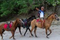 Horse rides on the beach Royalty Free Stock Photo