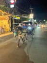 Horse Rides for tourist in Kuta, Bali , Indonesia