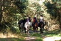 Horse riding Royalty Free Stock Photo