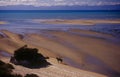 Horse riding at Abel Tasman