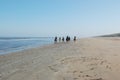 Horse riding along the shore