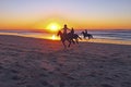 Horse riding on the beach Royalty Free Stock Photo