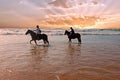 Horse riding at the beach at the ocean Royalty Free Stock Photo