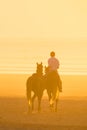 Horse riding on the beach at sunset. Royalty Free Stock Photo