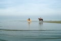 Horse riding beach Royalty Free Stock Photo