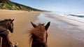 Horse riding on beach - view from the horse Royalty Free Stock Photo