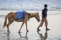 A horse riding boy searching her clients on Patenga beach, Chittagong, Bangladesh. Royalty Free Stock Photo