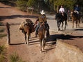 Horse Riding, Bryce Canyon, Utah, USA Royalty Free Stock Photo