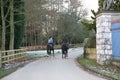 Horse Riding in Castle Grounds