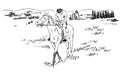 Horse riding in the fields sketch vector illustration, young guy rider resting on horseback