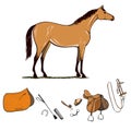 Horse riding gear tools set. Bridle, saddle, stirrup, brush, bit, snaffle, harness, supplies, whip equine equipments.