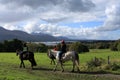 Horse Riding In Killarney National Park, County Kerry, Ireland Royalty Free Stock Photo