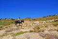 Horse riding in Lesotho