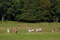 Horse riding lessons Royalty Free Stock Photo