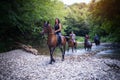 Horse riding Royalty Free Stock Photo