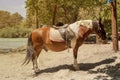 Horse riding near the Acherontas river Epirus, Greece