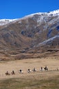 Horse Riding in New Zealand