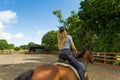 Horse riding at paddock Royalty Free Stock Photo