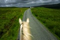 Horse Riding in Portree Royalty Free Stock Photo