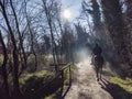 Horse riding scene in a winter morning Royalty Free Stock Photo