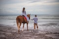 Horse riding by the sea. Woman on a brown horse. Man leading horse by its reins. Love to animals. Husband and wife spending time Royalty Free Stock Photo