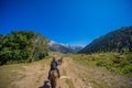 Horse riding at Sonamarg Valley of Kashmir, India. Royalty Free Stock Photo