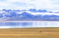 Horse Riding in Song kul Lake in Kyrgyzstan