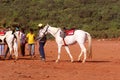 Horse riding