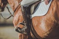 Horse Riding Stirrups Royalty Free Stock Photo