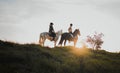 Horse riding, sunset or hobby with friends the countryside on horseback looking at the view during a summer morning Royalty Free Stock Photo