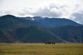 Horse riding to snow mountain trip Royalty Free Stock Photo