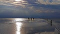 Horse Riding the Wadden Sea at low tide Royalty Free Stock Photo