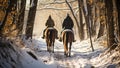Horse riding in winter forest. Young couple on a horseback