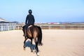 Horse riding . YoHorse riding . Young girl riding a horse . Royalty Free Stock Photo