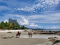 Horse rinding for tourists on the beach of Hua Hin. Royalty Free Stock Photo