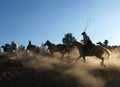 Horse Roundup at Dusk Royalty Free Stock Photo