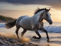 Horse Running along the Baltic Sea Shore