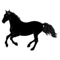 The horse is running. black silhouette vector Royalty Free Stock Photo