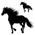 The horse is running. black silhouette vector Royalty Free Stock Photo
