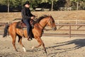 A horse running with a cowboy. I