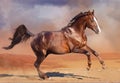 Horse running in the desert Royalty Free Stock Photo