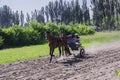 Horse running with equestrian